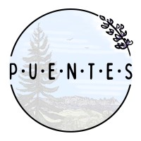 PUENTES logo - Similar company to A1500