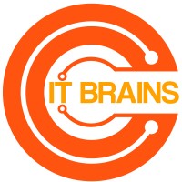 IT Brains Consulting Group (IB Consulting) logo - Similar company to Evlon