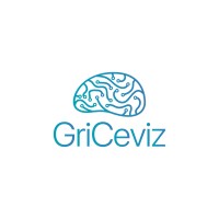 Brainquire logo - Similar company to Supratech Bilişim Tic. Ltd. Şti.