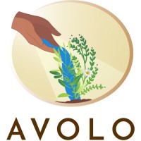 AVOLO logo - Similar company to Bpc