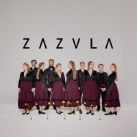 zespół Zazula logo - Similar company to Wmcg