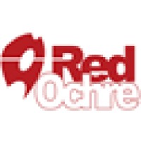 RedOchre Software logo - Similar company to Dmatics Technologies