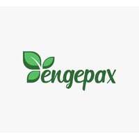 Engepax logo - Similar company to Ibitu Group