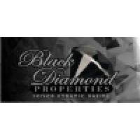 Black Diamond Properties logo - Similar company to Black Diamond Realty