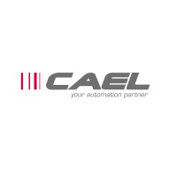 Cael s.r.l. logo - Similar company to Futurelab Spa