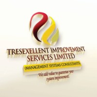 Tresexellent Improvement Services Limited logo - Similar company to Dominite Management Systems Ltd - Dmsl