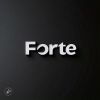 Forte Digital Agency logo - Similar company to Sourcing Xpert