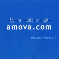 Amova, Inc. logo - Similar company to Network Defenders