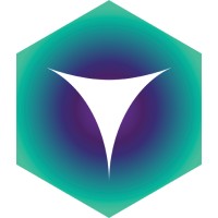 Validus Technology Group logo - Similar company to Validus France