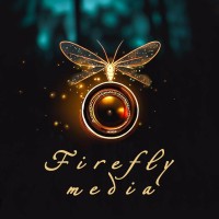Firefly Media logo - Similar company to Firefly Growth Solutions