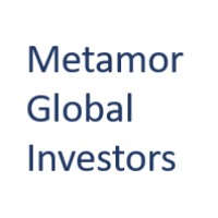 Metamor Global Investors Ltd logo - Similar company to B Ventures
