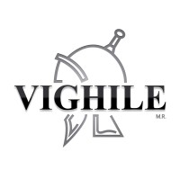 Vighile logo - Similar company to Atek Ingeniería