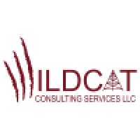 Wildcat Consulting Services Llc