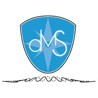 DMS Holland logo - Similar company to Eindhaven
