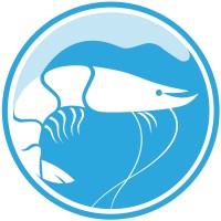 TransparentSea logo - Similar company to Knip