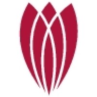 INTERPULSE LIMITED logo - Similar company to Interpulse Automatisering B.V.