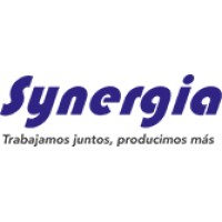 Synergia Srl logo - Similar company to Netsocs