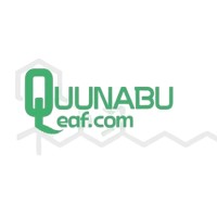 Quunabu Leaf logo - Similar company to Allymack