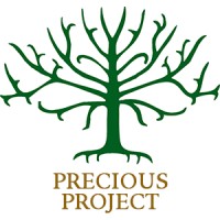 Precious Project, Inc. logo - Similar company to Hslu – Kompetenzzentrum Typologie & Planung In Architektur (Cctp)