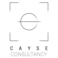 Cayse Consultancy logo - Similar company to Actbetter Performance Improvers