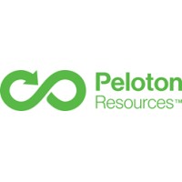 Peloton Resources Pty Ltd logo - Similar company to Rdg Technologies - Mineralboost