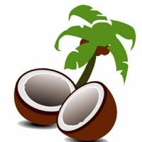 PT Cakrawala Bumi Napal (Coco Napal) logo - Similar company to Pt. Coco Total Jaya
