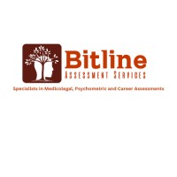 Bitline Assessment Services logo - Similar company to Impact Shoppe