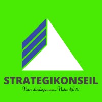 STRATEGIKONSEIL logo - Similar company to Isw Technosys Ltd