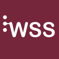 WSS  Auditoria, Contabilidade e Assessoria logo - Similar company to Along Contabilidade