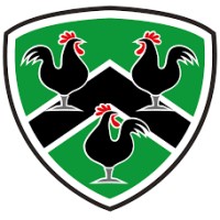 Gwernyfed Rfc