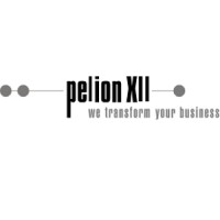 Pelion Xii Gmbh