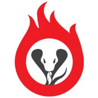 Cobra Fire logo - Similar company to Cobra Projects