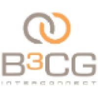 B3Cg Interconnect Inc.