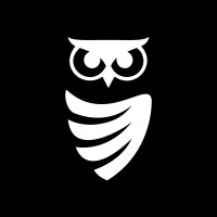 WitWyse logo - Similar company to Acclrt /ˈAk.Sə.Lərt/