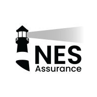 NES Assurance logo - Similar company to Imsys Security