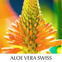 Aloe Vera Swiss logo - Similar company to Aloe Jaumave