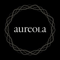 Aureola | Business Transformation - Value Creation - Performance Improvement logo - Similar company to Junior Chamber International Bellevue-Zürich