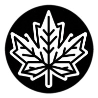 BlackkDot logo - Similar company to Accelix Digital Ltd