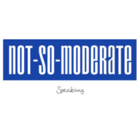 Not-So-Moderate logo - Similar company to Ad Dollevoet B.V.