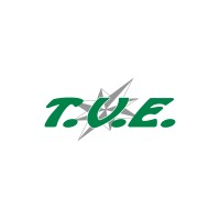 T.V.E srl Trasporti & Logistica logo - Similar company to Lapi Logistica