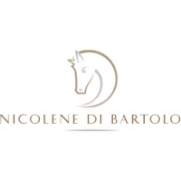 Nicolene Di Bartolo Executive Search & Management Appointments logo - Similar company to Execulinked