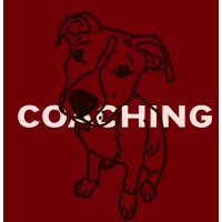 Pitbullcoaching