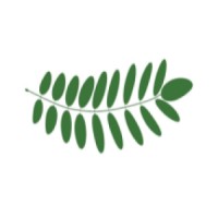 Acacia Counselling logo - Similar company to Studio Hudson