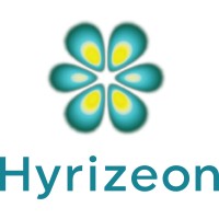 Hyrizeon logo - Similar company to Etha Oy