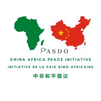 China Africa Initiative logo - Similar company to Ida Lab