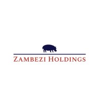 Zambezi logo - Similar company to Zambezi Zerø