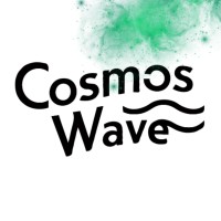 Cosmos Wave logo - Similar company to Dzcoders