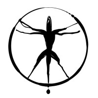 ParadoxMation logo - Similar company to Vidyoner