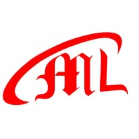 Mahant Logistics LLC logo - Similar company to Amoeba Technocrats (Opc) P. Ltd.