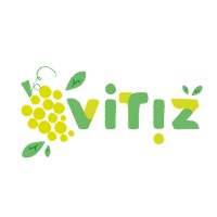 Vitiz logo - Similar company to Getade
